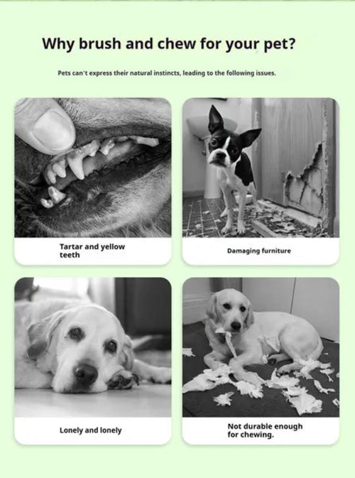 Purepaws Chew Toys For Teeth Cleaning
