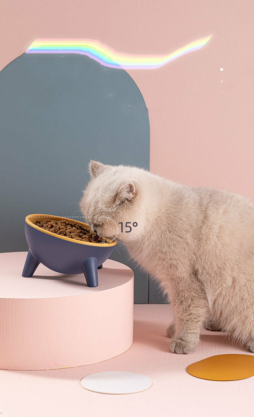 Purepaws Feeding Bowl With Stand