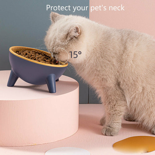 Purepaws Feeding Bowl With Stand