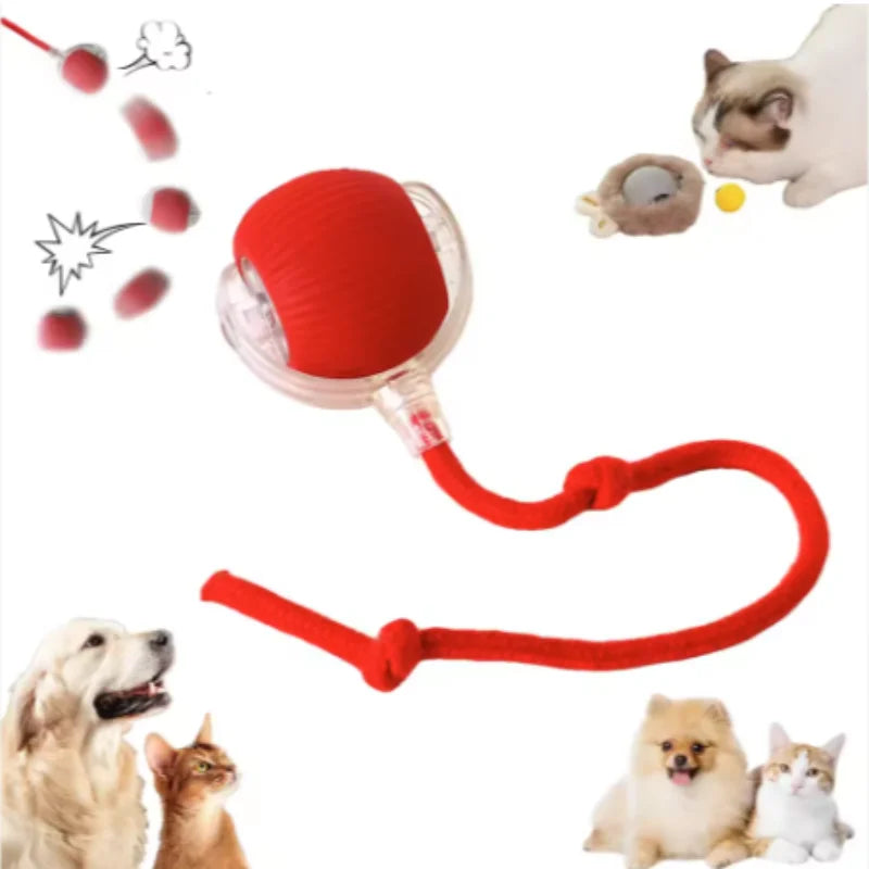 Purepaws automatic Interactive ball toy