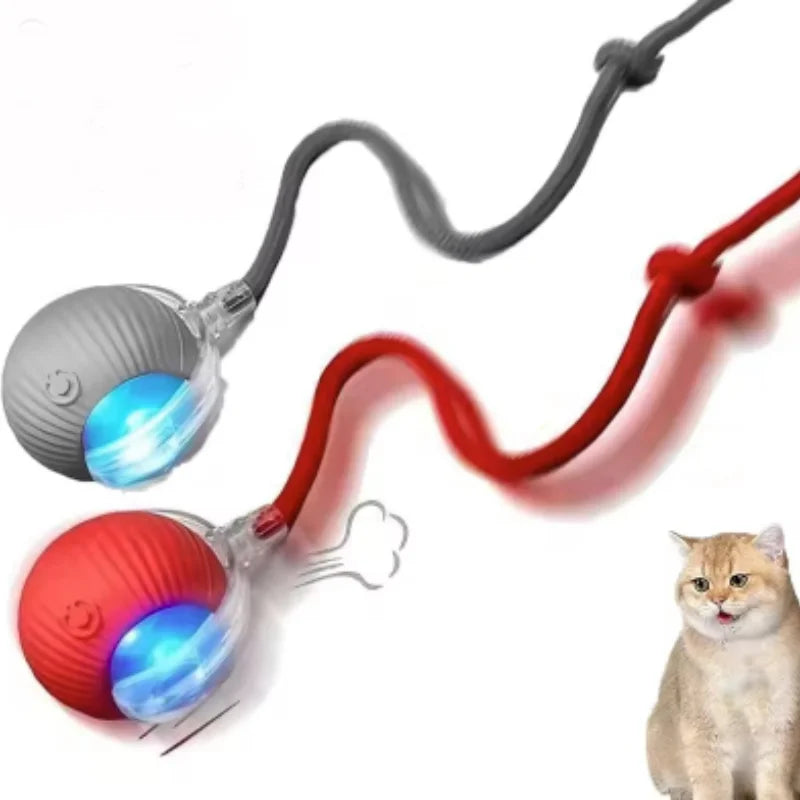 Purepaws automatic Interactive ball toy