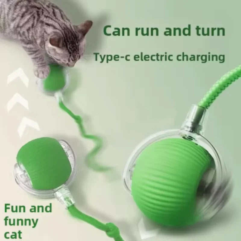 Purepaws automatic Interactive ball toy