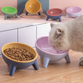Purepaws Feeding Bowl With Stand