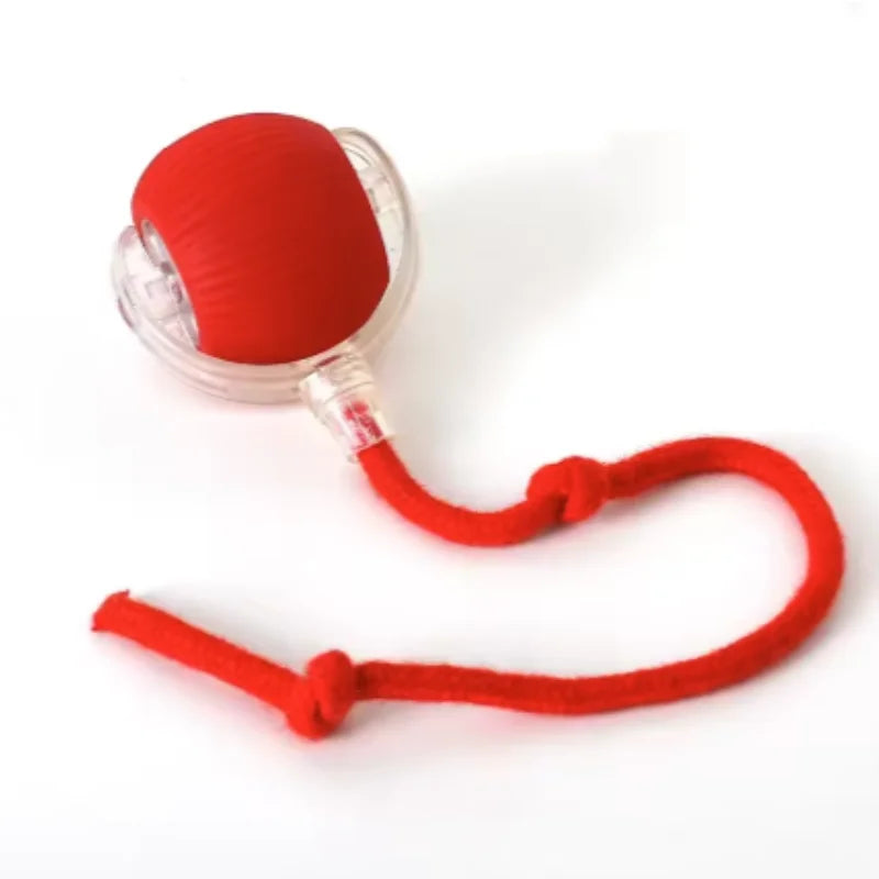 Purepaws automatic Interactive ball toy