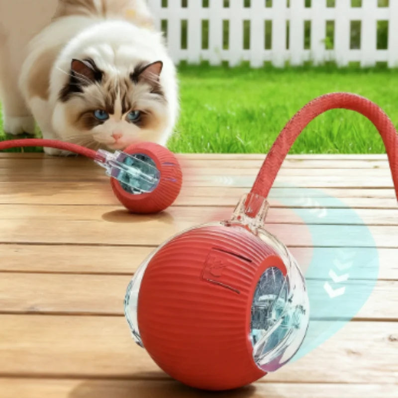 Purepaws automatic Interactive ball toy