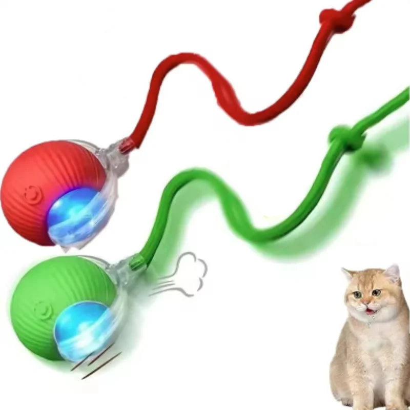 Purepaws automatic Interactive ball toy