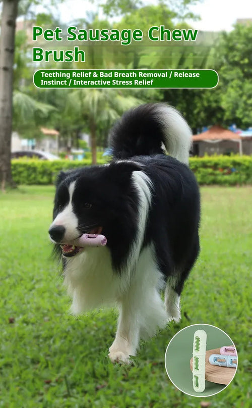 Purepaws Chew Toys For Teeth Cleaning