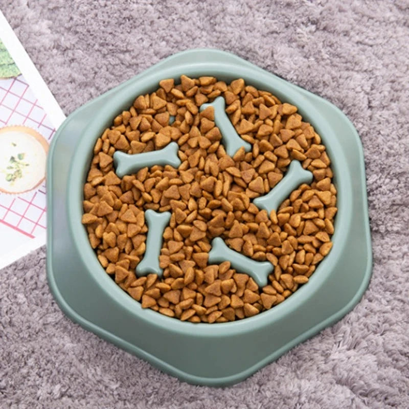 Purepawd Slow Feeding bowl