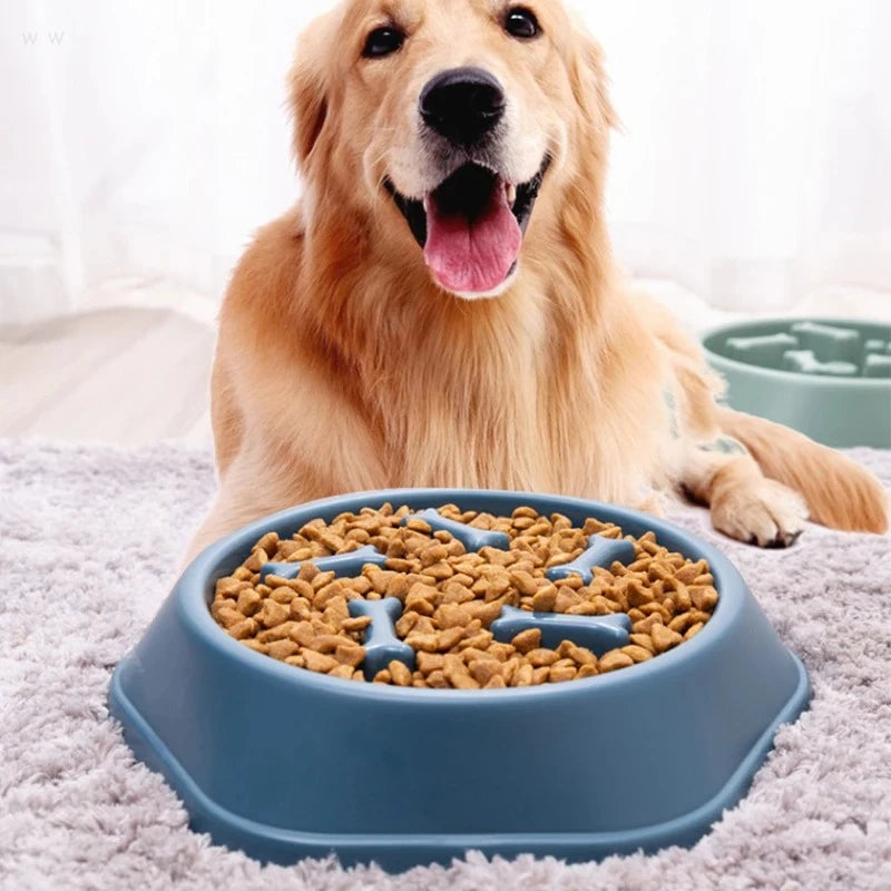 Purepawd Slow Feeding bowl