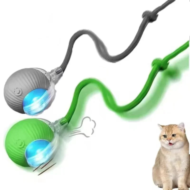 Purepaws automatic Interactive ball toy