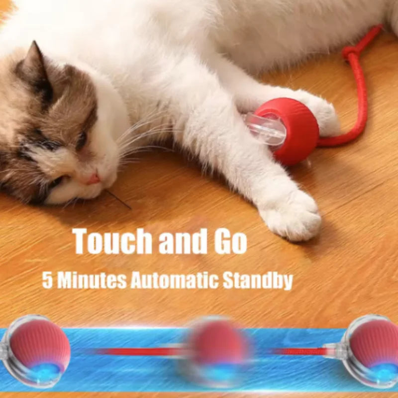 Purepaws automatic Interactive ball toy