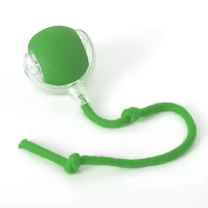 Purepaws automatic Interactive ball toy
