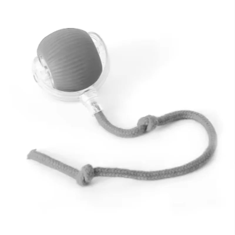 Purepaws automatic Interactive ball toy
