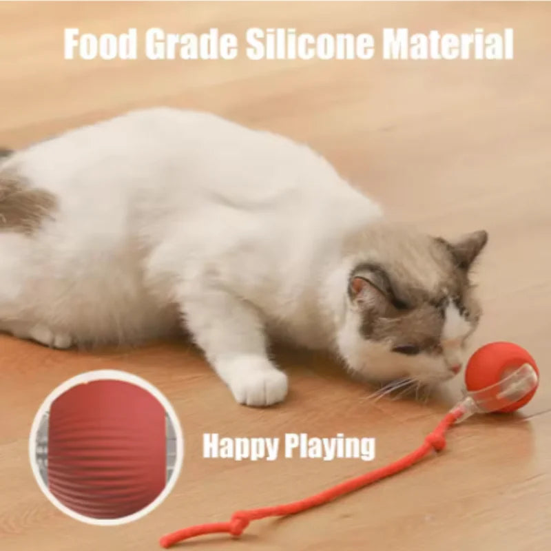 Purepaws automatic Interactive ball toy